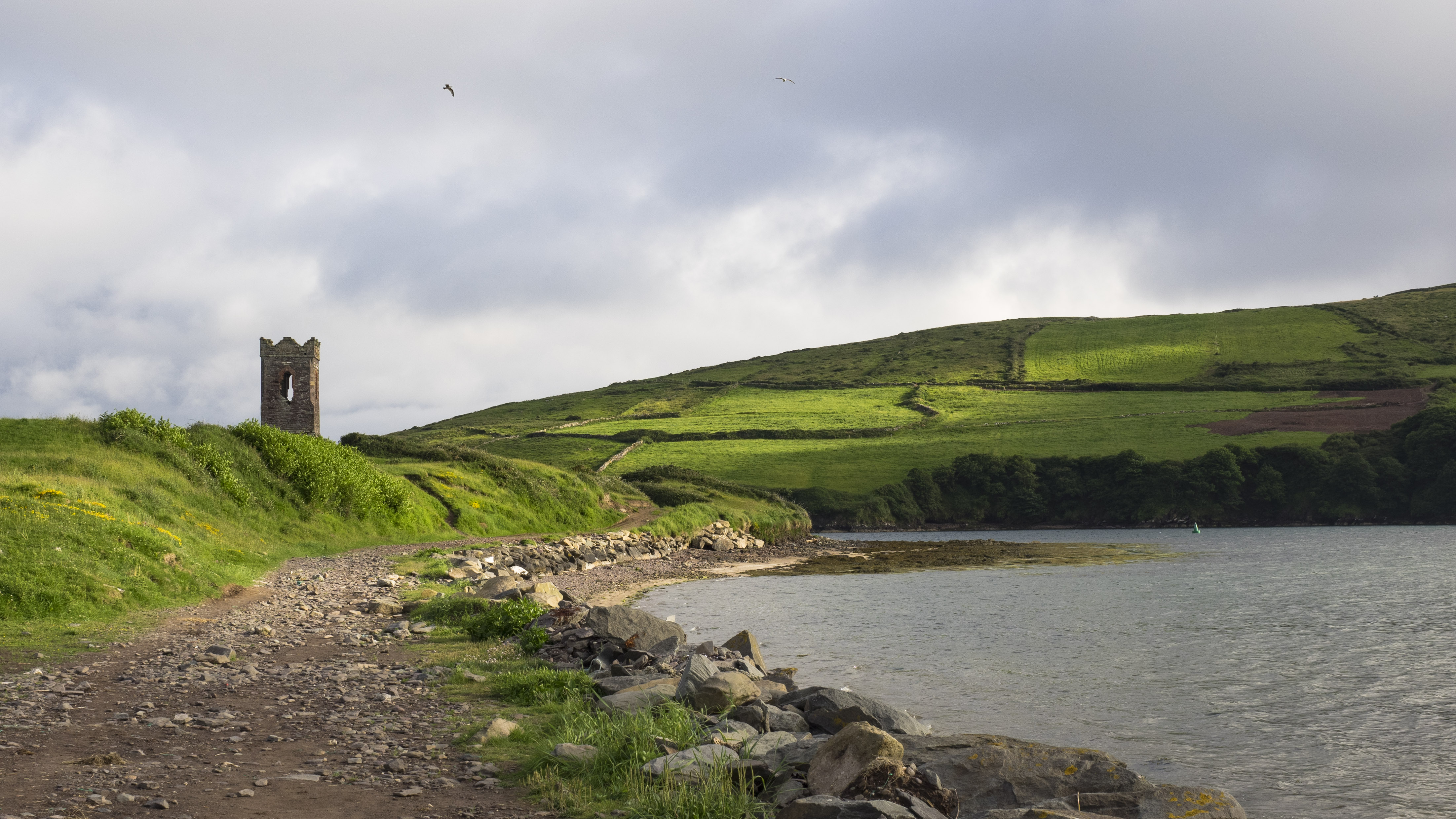 Dingle Bay