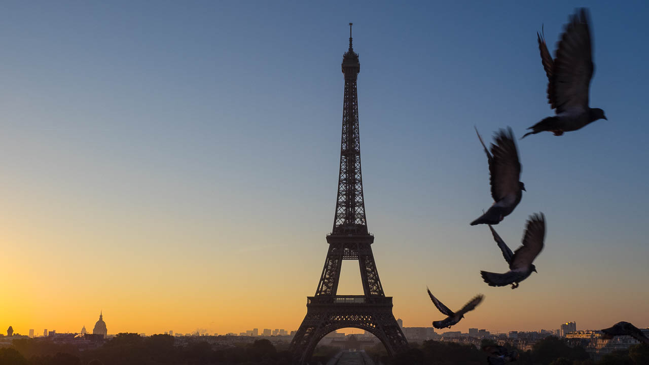 Dawn at the Trocadero looking out at the Eiffel Tower