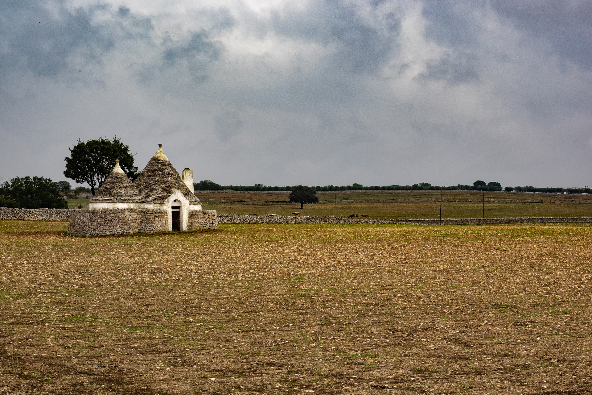 Previous – Photography Workshop: Enchanting & Ancient Puglia – Sep 16-26, 2019