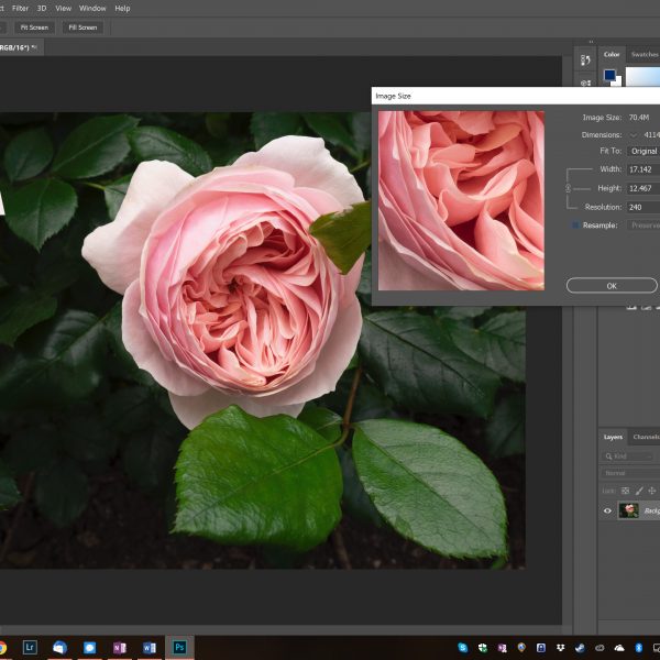 Resolution & PPI vs DPI: Resizing Your Images for Display Demystified