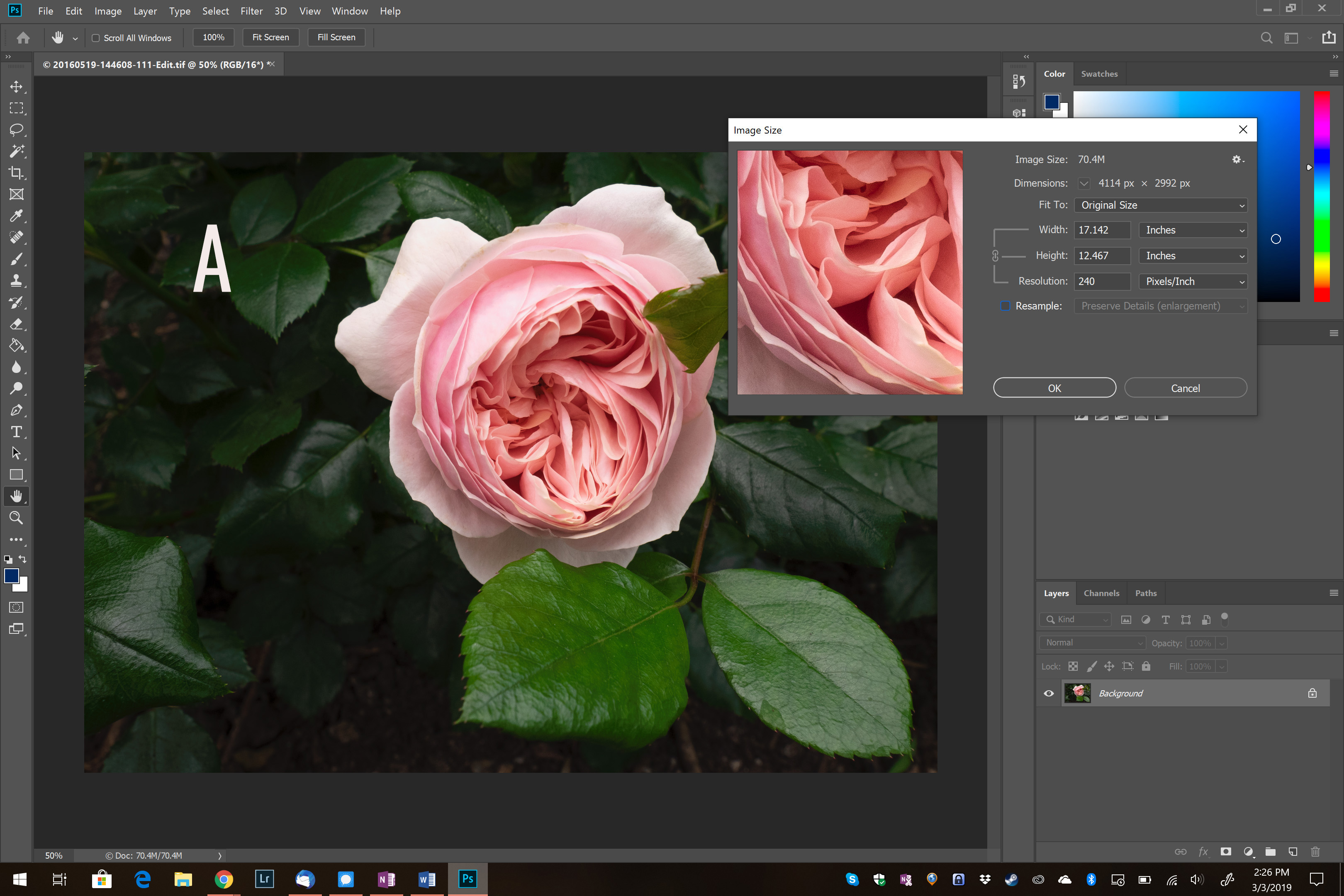 Resolution & PPI vs DPI: Resizing Your Images for Display Demystified